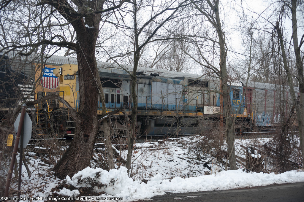 BERX 7517 through the trees